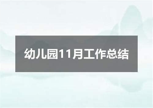幼儿园11月工作总结