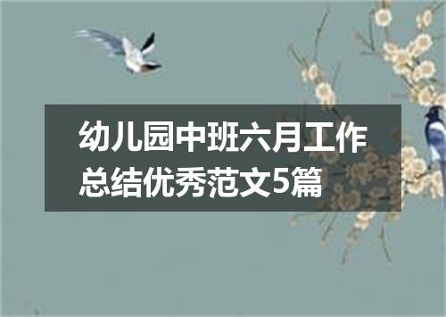 幼儿园中班六月工作总结优秀范文5篇