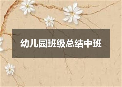 幼儿园班级总结中班