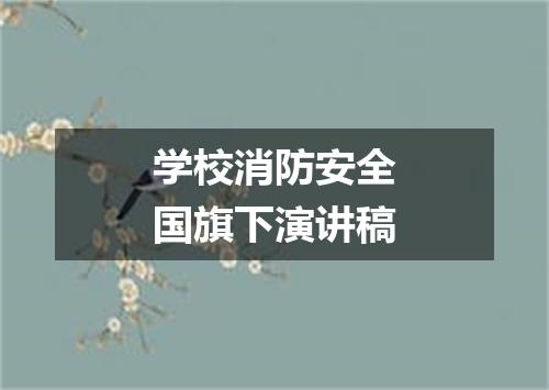 学校消防安全国旗下演讲稿