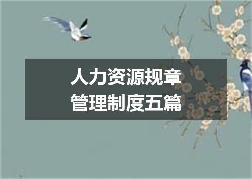 人力资源规章管理制度五篇