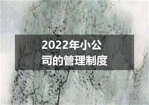 2022年小公司的管理制度