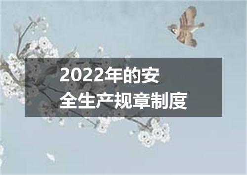 2022年的安全生产规章制度