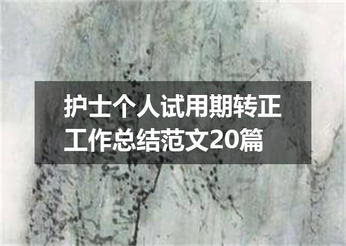 护士个人试用期转正工作总结范文20篇
