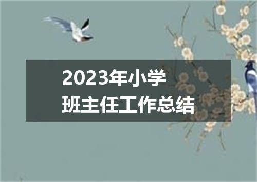 2023年小学班主任工作总结