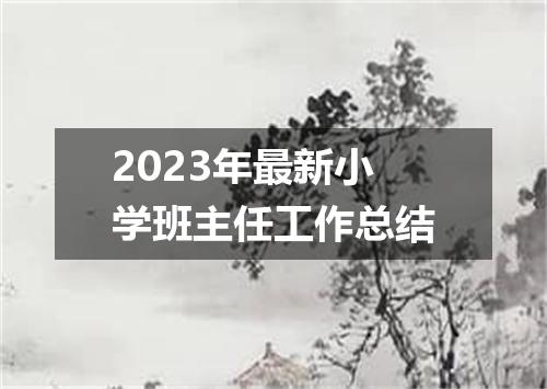 2023年最新小学班主任工作总结