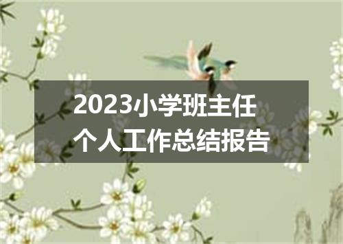 2023小学班主任个人工作总结报告