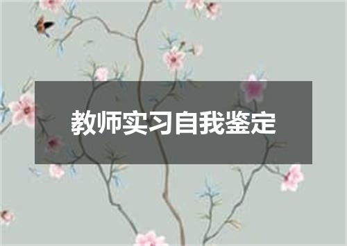 教师实习自我鉴定