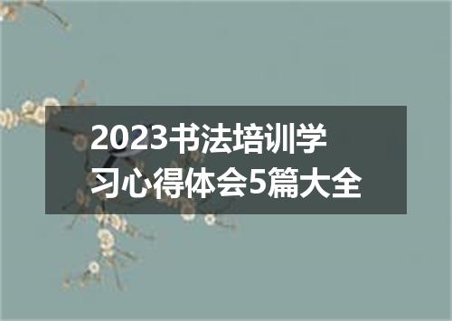 2023书法培训学习心得体会5篇大全