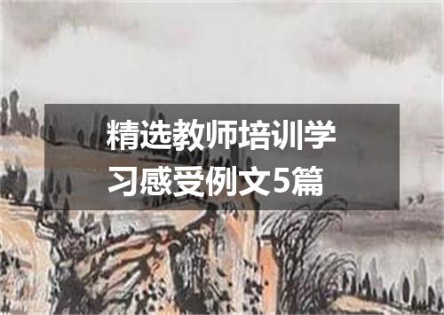 精选教师培训学习感受例文5篇