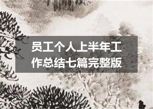 员工个人上半年工作总结七篇完整版