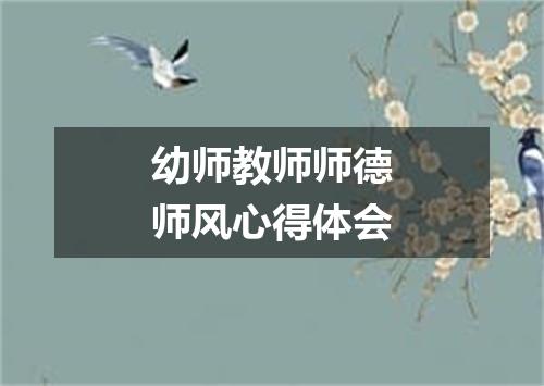幼师教师师德师风心得体会
