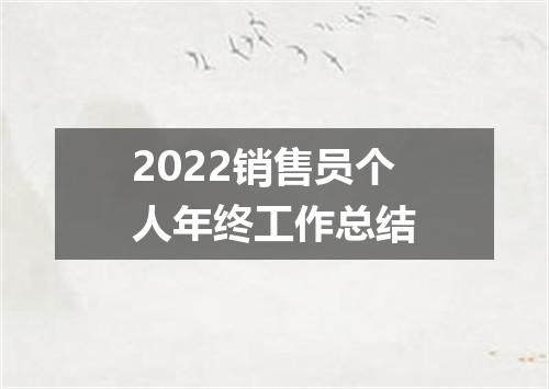 2022销售员个人年终工作总结