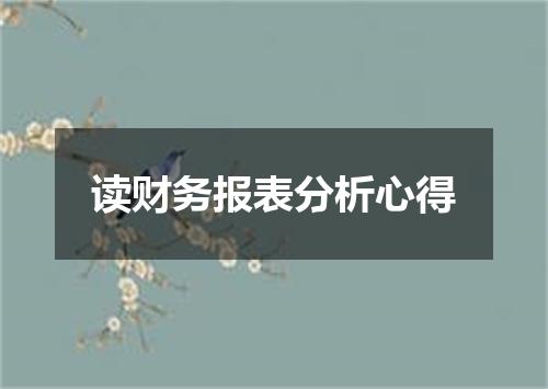 读财务报表分析心得