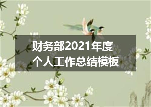 财务部2021年度个人工作总结模板
