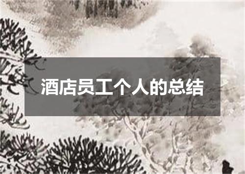 酒店员工个人的总结
