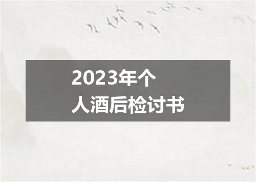 2023年个人酒后检讨书