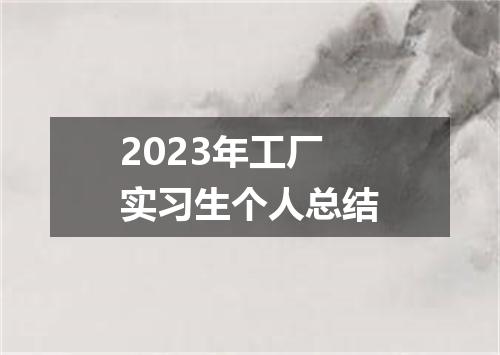 2023年工厂实习生个人总结