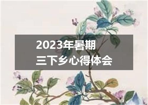 2023年暑期三下乡心得体会