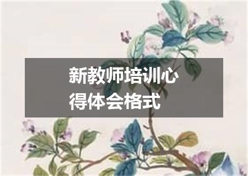 新教师培训心得体会格式