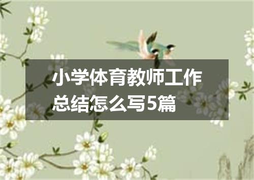 小学体育教师工作总结怎么写5篇