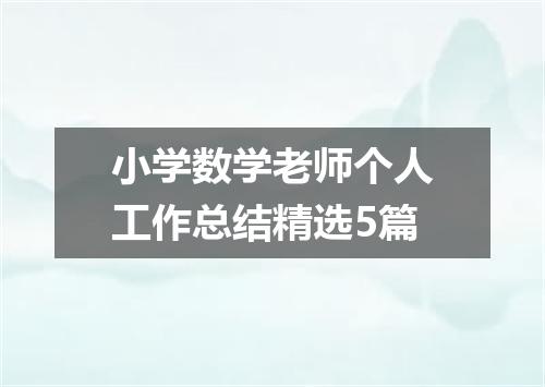 小学数学老师个人工作总结精选5篇