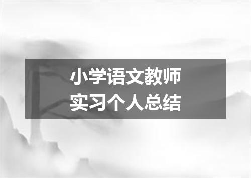 小学语文教师实习个人总结