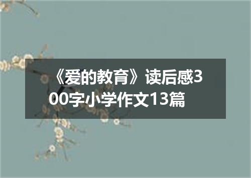 《爱的教育》读后感300字小学作文13篇