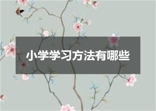 小学学习方法有哪些