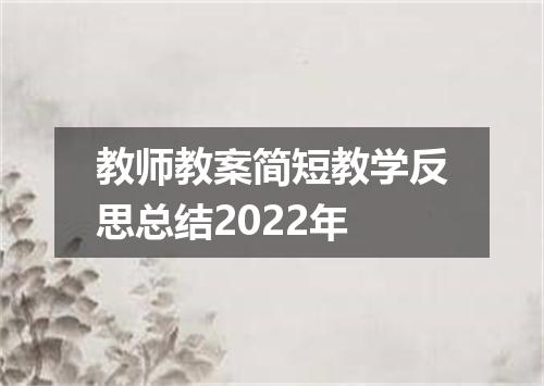 教师教案简短教学反思总结2022年