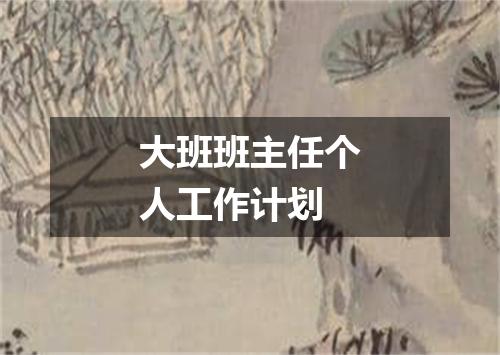 大班班主任个人工作计划