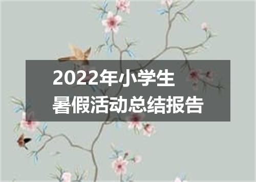 2022年小学生暑假活动总结报告