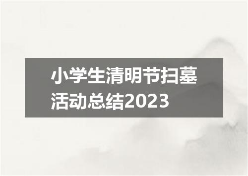 小学生清明节扫墓活动总结2023