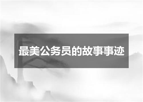 最美公务员的故事事迹