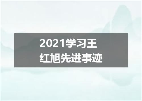 2021学习王红旭先进事迹