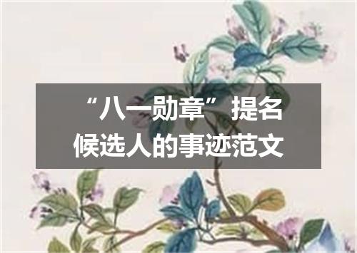 “八一勋章”提名候选人的事迹范文