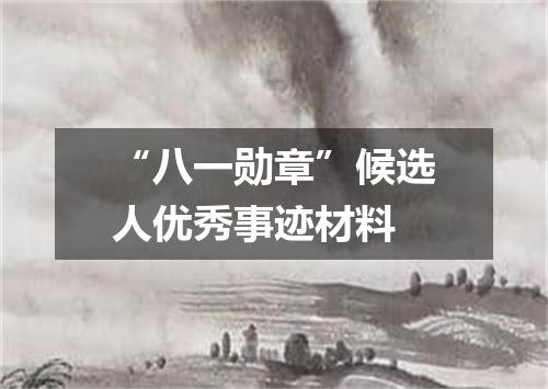 “八一勋章”候选人优秀事迹材料