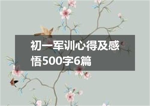 初一军训心得及感悟500字6篇