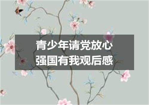 青少年请党放心强国有我观后感