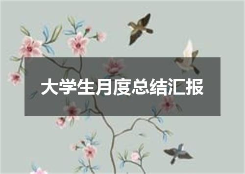 大学生月度总结汇报