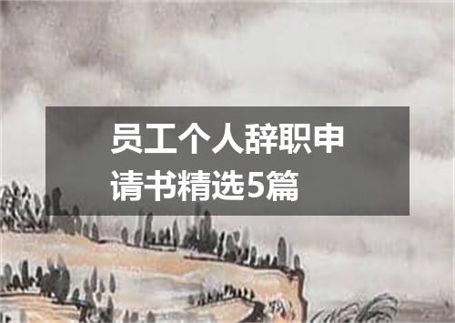 员工个人辞职申请书精选5篇