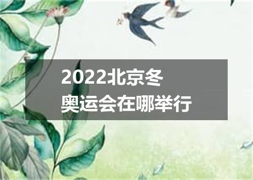 2022北京冬奥运会在哪举行