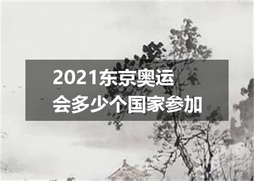 2021东京奥运会多少个国家参加