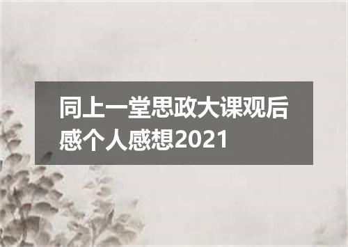 同上一堂思政大课观后感个人感想2021