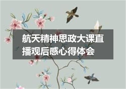 航天精神思政大课直播观后感心得体会