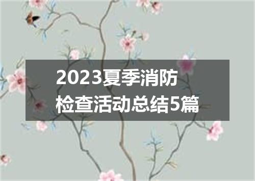 2023夏季消防检查活动总结5篇