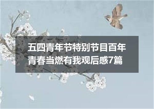 五四青年节特别节目百年青春当燃有我观后感7篇
