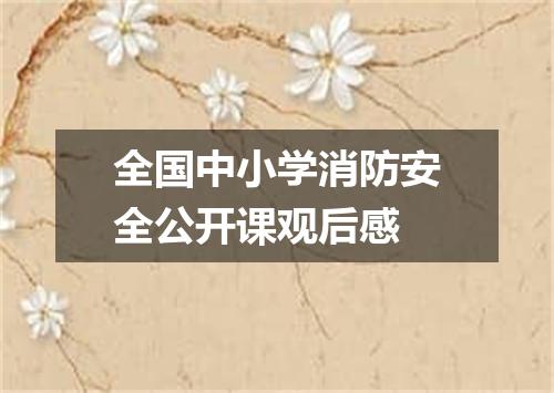 全国中小学消防安全公开课观后感