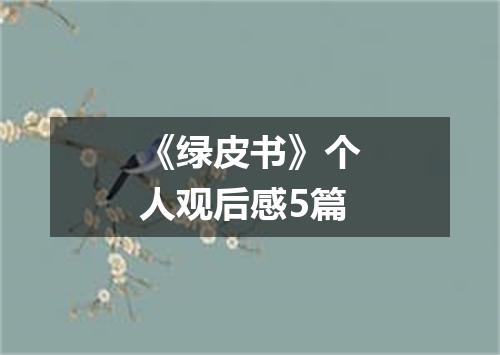 《绿皮书》个人观后感5篇