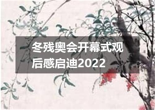冬残奥会开幕式观后感启迪2022